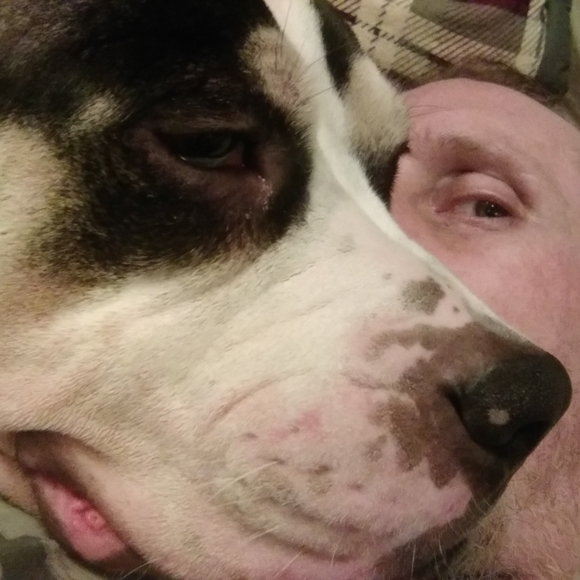 Meet your Posher, Derek - Picture 1 of 3